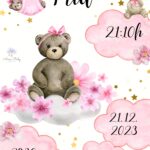 MDF ploča sa podacima rođenja bebe – Model 5
