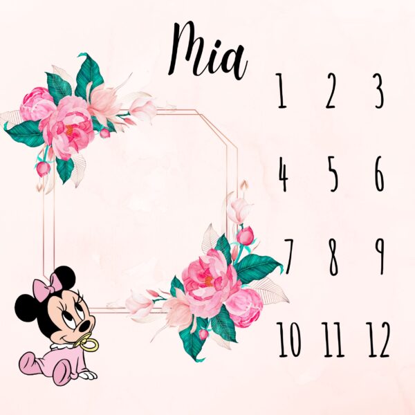 Podloge za mjesečno slikanje beba - Minnie