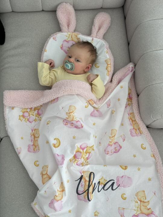 Set Teddy Jastuk zeko i Dekica - Roze i Roze Mede